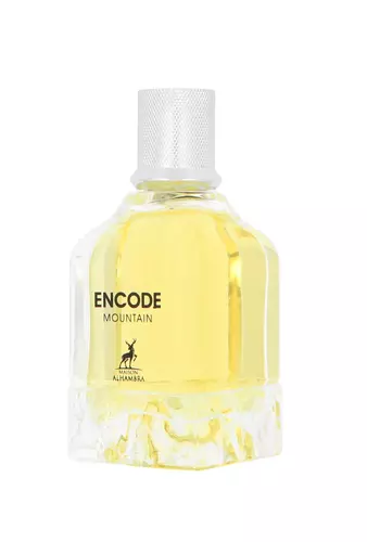 Maison Alhambra Encode Mountain Edp 100ml 3