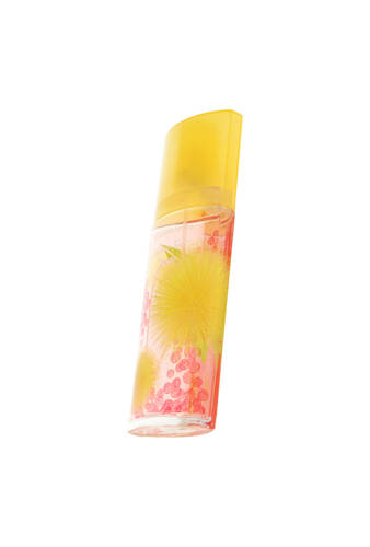 Elizabeth Arden Green Tea Mimosa Edt 100ml 5