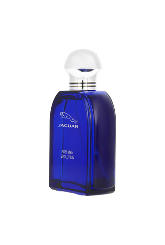 Jaguar For Men Evolution Edt 100ml 3