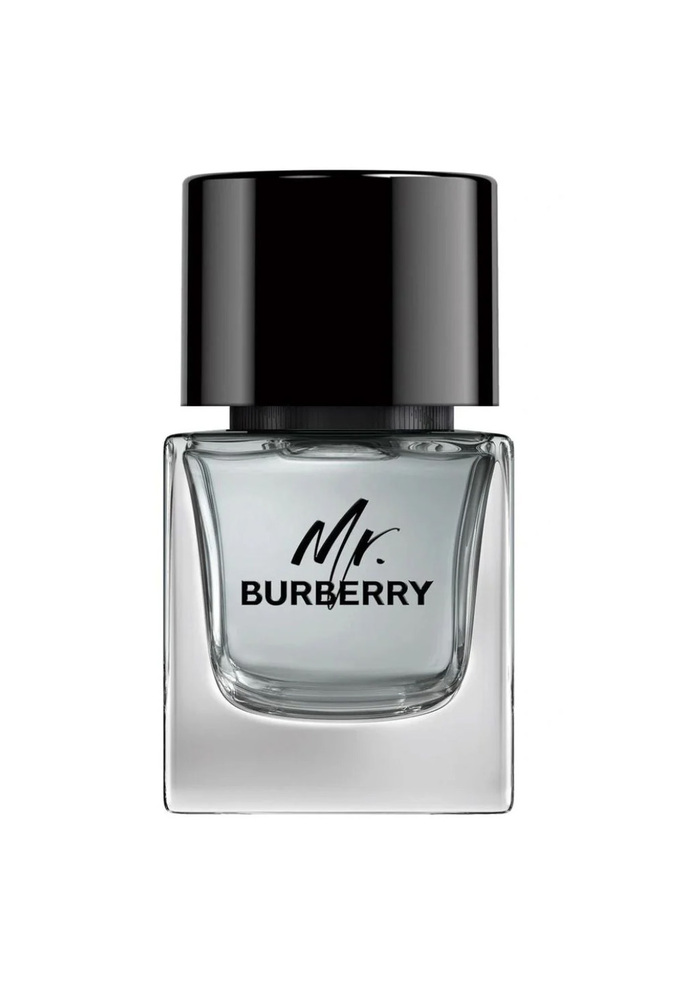 Burberry Mr. Burberry Edt 50ml 1