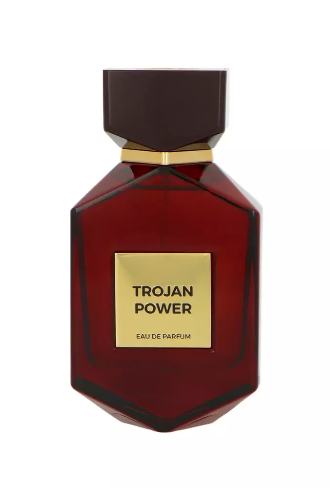 Camara Trojan Power Edp 100ml 1