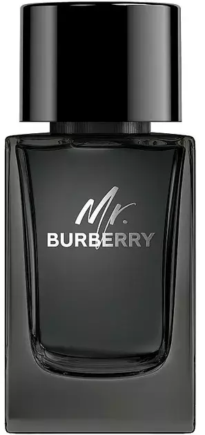 Burberry Mr. Burberry Edp 100ml 1