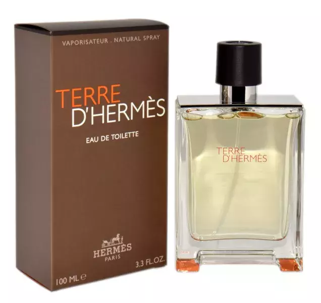 Hermes Terre D`Hermes Edt 100ml 1