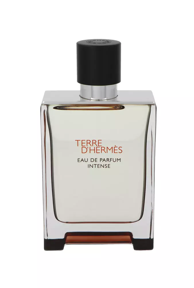 Hermes Terre d`Hermes Intense Edp 100ml 1