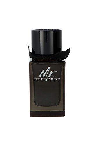 Burberry Mr. Burberry Edp 100ml 1