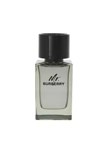 Burberry Mr. Burberry Edt 100ml 1