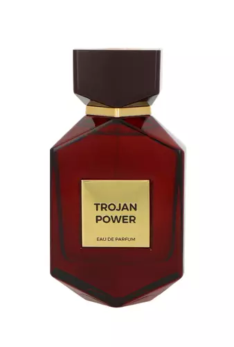 Camara Trojan Power Edp 100ml 1
