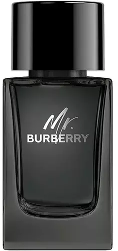 Burberry Mr. Burberry Edp 100ml 1