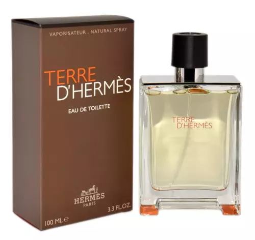 Hermes Terre D`Hermes Edt 100ml 1
