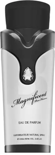 Armaf Magnificent Pour Homme Edp 100ml 1