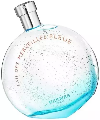 Hermes Eau Des Merveilles Bleue Edt 100ml 1
