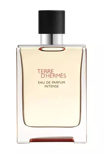 Hermes Terre d`Hermes Intense Edp 100ml 1