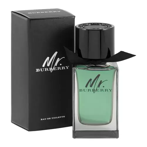 Burberry Mr. Burberry Edt 100ml 1