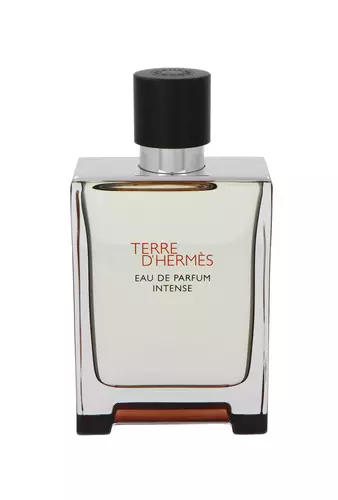 Hermes Terre d`Hermes Intense Edp 100ml 1