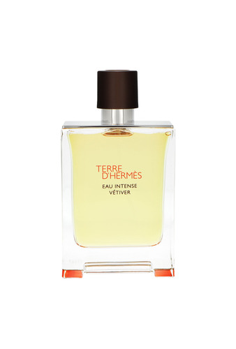 Hermes Terre D`Hermes Eau Intense Vetiver Edp 100ml 1