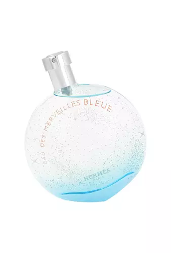 Tester Hermes Eau Des Merveilles Bleue Edt 100ml 1